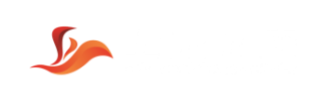 上元航空官网